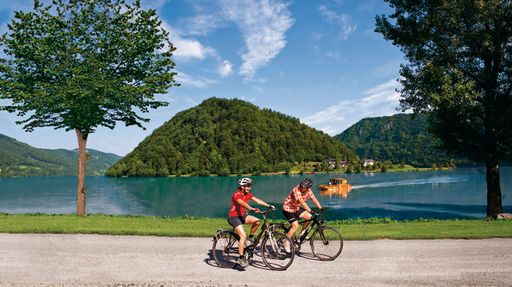 Der Donauradweg ist eins von neun innovativen Tourismusprojekten in Oberösterreich, die künftig im Fokus der Tourismuswerber stehen.