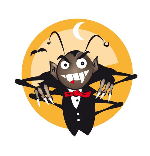 Vorschau Bild von Die einzige Nahrung von Kopfläusen ist menschliches Blut.