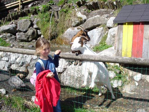  Tiererlebnispfad Brandnertal
