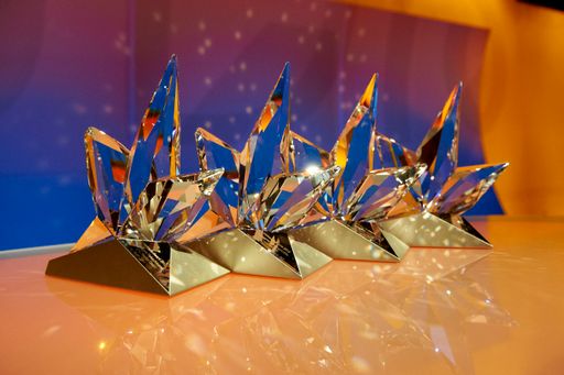 Vorschau Bild von Der Swarovski Verkaufsaward.
