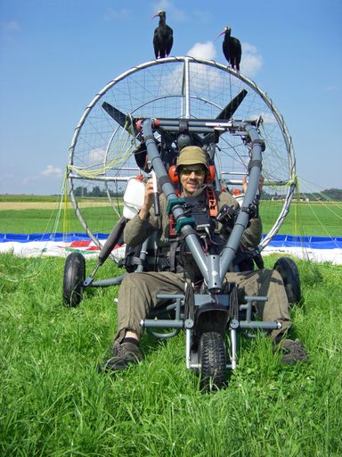 Vorschau Bild von Ein seltenes, wildes Waldrapp-Weibchen, das nach der britischen Naturschützerin Jane Goodall benannt ist, ist nach 400 Jahren die erste dieser vom Aussterben bedrohten Vogelart, die über die Alpen zu den alten Brutplätzen Nordeuropas gelangte.