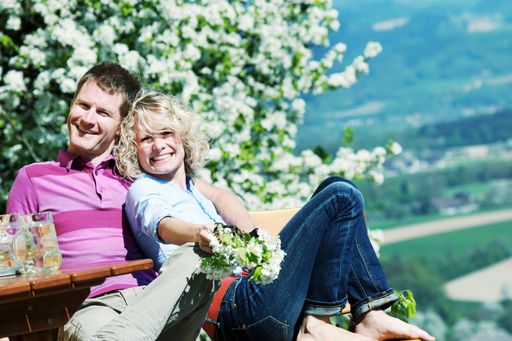 Der "Tag des Mostes" am Sonntag, 29. April ist der Höhepunkt im Mostfrühling, den das Mostviertel bis Juni zelebriert.