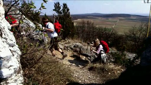 Vorschau Video