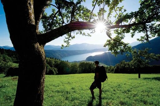 Genusswandern steht am Alpe-Adria-Trail im Vordergrund; Er verläuft im nicht alpinen Bereich und soweit möglich mit geringem Höhenunterschied.