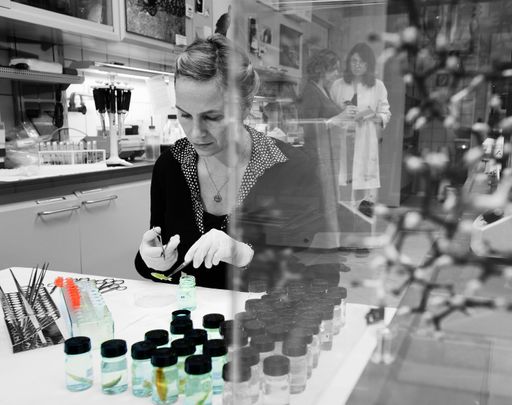 Lange Nacht der Forschung - DNA-Labor im Naturhistorischen Museum