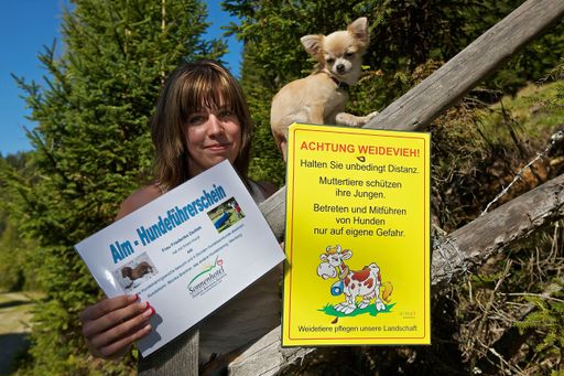 Der Alm-Hunde-Führerschein des Sonnenhotel Zaubek auf der Gerlitzen Alpe in Kärnten verspricht das perfekte Rüstzeug für Hunde und ihr Frauerl oder Herrchen, die sich sicher in den Bergen bewegen wollen.