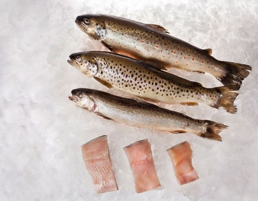 Vorschau Bild von Bio-Bachforelle, Bio-Seeforelle und Bio-Saibling kommen bei INTERSPAR aus heimischen Gewässern.