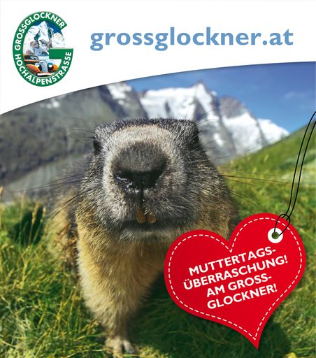 "Mai-Shopping": 10 % Einkaufsrabatt zum Muttertag in allen Glockner-Shops.