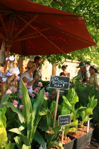 "Von 17. - 20. Mai dreht sich bei den Gartentagen auf Schloss Hof alles um ausgesuchte Pflanzenraritäten und exquisite Gartenkultur."