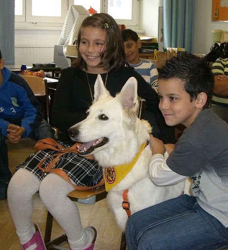  "Schulbesuch "Rund um den Hund"