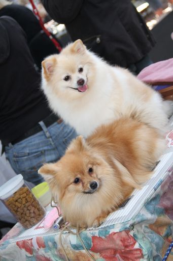 gemeinsam warten wir auf die Resultate... und Leckerli gibts auch!!