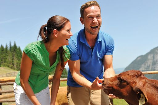  Urlaub am Bauernhof im SalzburgerLand.