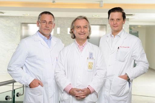 Im Bild (v.l.n.r.): Dr. Richard MAIER, Prof. Dr. Reinhard WEINSTABL, Dr. Paul STAMPFL.
