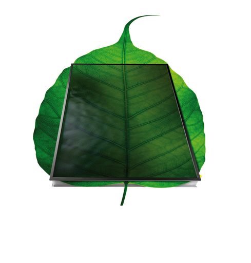 Der Bionische Absorber von Sun Master ist das Herzstück der neuen Generation von Solarkollektoren