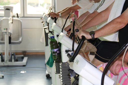  Trainingstherapie durch Sport- und BewegungswissenschafterInnen
