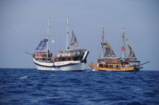 Vorschau Bild von BACARDI's Red Pearl Flotte