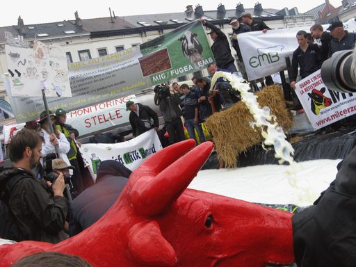 Milchsee in Brüssel