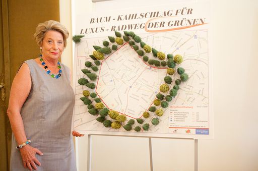 Bild Nr. 1: Baum-Kahlschlag am Ring für Luxus-Radweg der Grünen