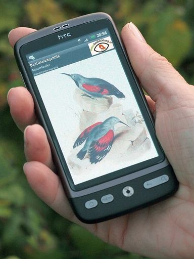 Siegerprojekt TUN-Fonds: Smartphone-App zum
Erkennen und Melden von Pflanzen und Tieren (NATURSCHUTZBUND)