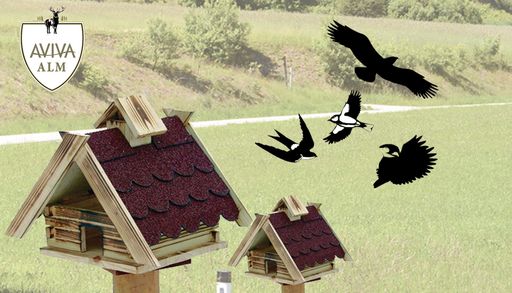 Werden Sie stolzer Besitzer eines eigenen
Vogelhauses auf der AVIVA-ALM!