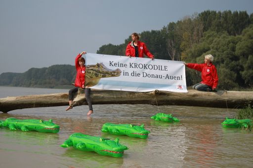  VIER PFOTEN Aktion "Keine Krokodile in die
Donau-Auen!"