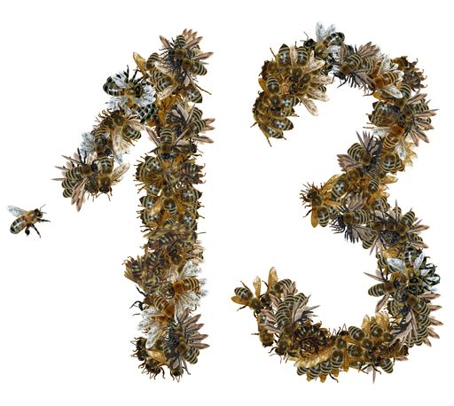 13