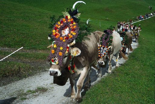  Beim Hintertuxer Oktoberfest wird am letzten
Septemberwochenende mit zünftiger Musik der diesjährige Almabtrieb
von der Bichlalm gefeiert.