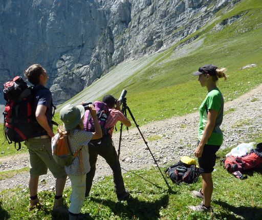  Sina Hölscher, Naturpark Rangerin, beim Beobachten von Gämsen und
Steinböcken im Alpenpark Karwendel