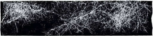 Hana Usui, o.T. (Wien), 2007, 97 x 440 cm, Öl auf
Papier; für Druck & Veröffentlichungen frei gegeben!