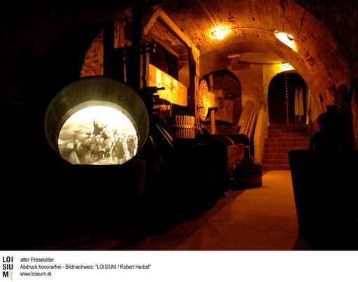 Vorschau Bild von Alter Presskeller in der LOISIUM
Weinerlebniswelt