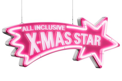 Nur für kurze Zeit: Der ALL INCLUSIVE X-MAS STAR um
15,99 statt 19,99 Euro.