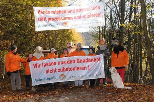  Seit 15. Oktober verhindern AktivistInnen von
ANIMAL SPIRIT einen geplanten zerstörerischen Straßenbau quer durch
den Gnadenhof am Hendlberg, Laaben