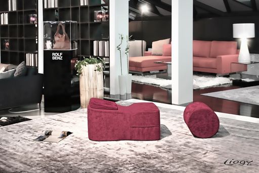  LIOGY - ein völlig neues Möbelkonzept für bequemes Lesen,
Arbeiten und Entspannen in Bauchlage. In Wien bei ROLF BENZ
FUHRMANN.