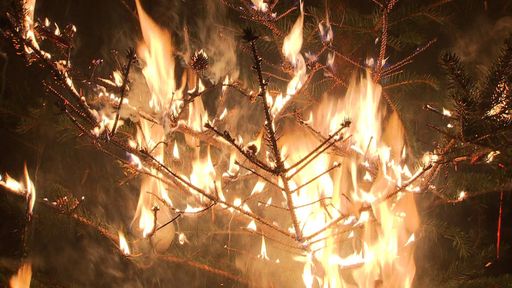 Der Advent ist eine der feuergefährlichsten Zeiten
im Jahr. Rund 500 Wohnungsbrände ereignen sich jährlich rund um
Weihnachten.