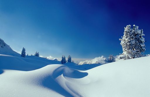 Alpenregion Bludenz: Genussvolle
Winterwanderungen bei berge.hören