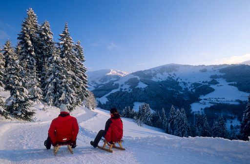 Naturfreunde Österreich warnen vor Leichtsinn
und möchten mit ihren Sicherheitstipps, wie Verhaltensregeln beim
Aufstieg und bei der Abfahrt, die richtige Ausrüstung, Tipps für den
Rodelkauf und Pflege und Lagerung, auf mehr Selbstverantwortung
aufmerksam machen.