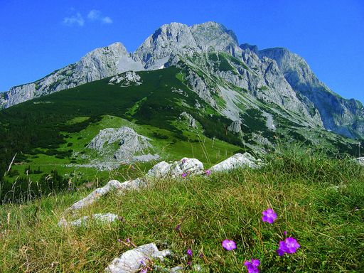  Maglic, der höchste Gipfel in Bosnien und
Herzegowina / Republik Srpska 2386m