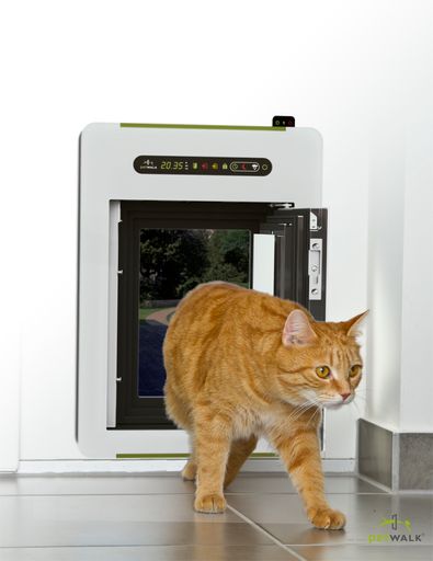 Vorschau Bild von petWALK Tiertüre Medium Wandeinbau geöffnet