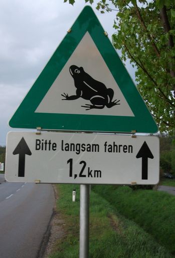 Achtung, die Kröten wandern wieder!