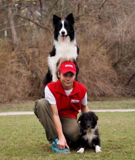 Lukas, "Falco" und " Joker".