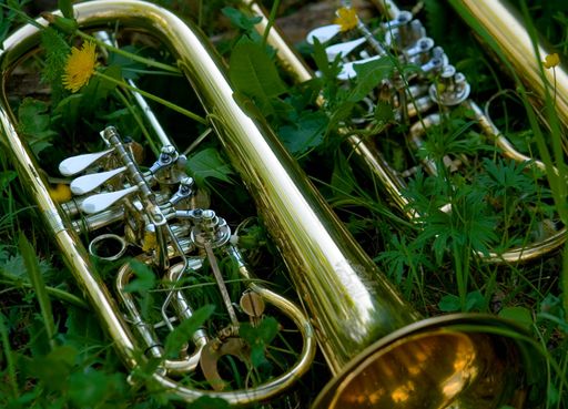 Vorschau Bild von Das größte NÖ Volksmusikfestival aufhOHRchen bietet
alle Facetten der Volkskultur: von der Blasmusik, über Sänger- und
Musikantentreffen, Wirtshausmusik, Gottesdienstgestaltungen oder
Frühschoppen.