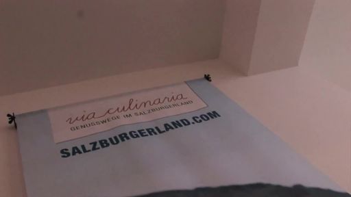 Vorschau Video