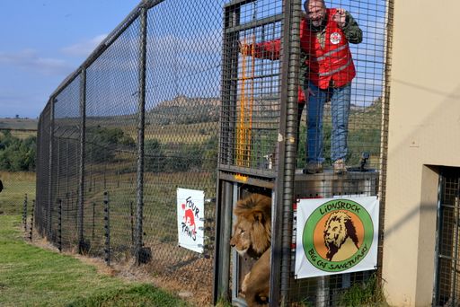  Heli Dungler, Gründer und Präsident von VIER
PFOTEN, öffnet im LIONSROCK das Gitter einer Transportbox