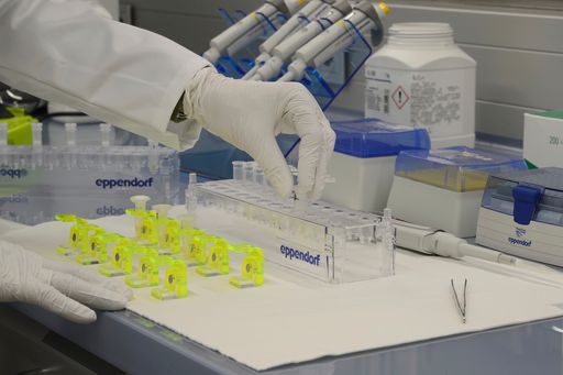 DNA-Extraktion im Reinraum