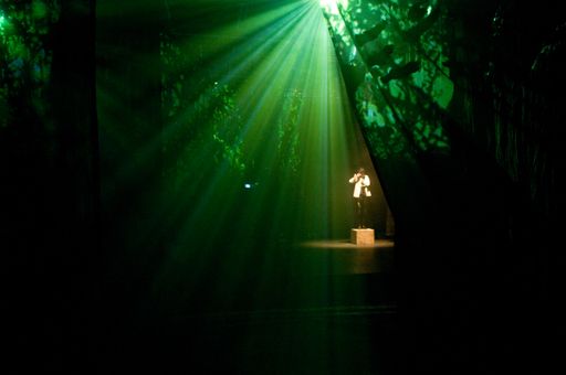 Vorschau Bild von AMAZONAS A QUEDA DO CÉU!