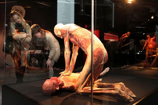 Besucher in der Körperwelten-Ausstellung im NHM