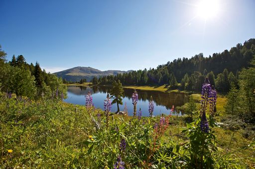 Vorschau Bild von Yoga-Sommerfrische auf der Alm - Krafttanken auf
1800m im Almhüttendorf Turracher Höhe