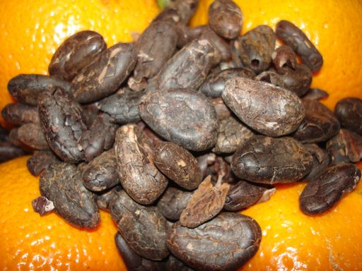 Vorschau Bild von Kakaobohnen aus Bali.