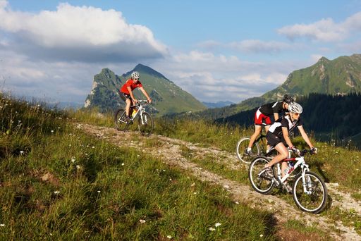  450 Kilometer beschilderte Mountainbike-Strecken
locken im Bregenzerwald.