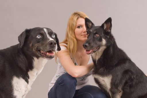  Forschung für Hunde: Therapiehunde sind gut
sozialisierte und speziell trainierte Helfer auf vier Pfoten. Dr.
Lisa Maria Glenk untersuchte das Wohlbefinden der Hunde im
therapeutischen Einsatz.